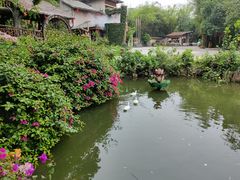 -观澜山水田园