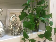 -扬州饭店(东关街店)