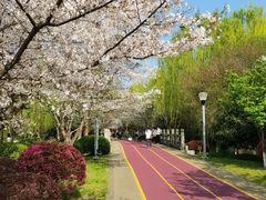 -尚贤河湿地