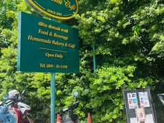 -Fern Forest Cafe