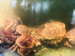 -李老爹香辣蟹(宣武门店)