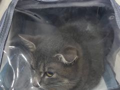 -拜鲁耶动物诊疗中心·宠家动物医院