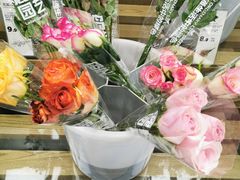 -鹿岛会员店 (龙湖三千集天街店)