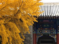 -中央民族大学