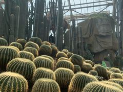 -南山植物园