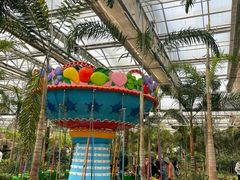 -南宫五洲植物乐园