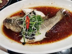 -虾饺妹·粤式手工点心(水荫路店)