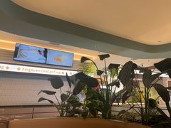 -食膳星港记·手工现做港式茶餐厅(吉联店)