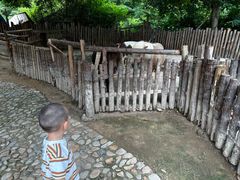 -泉州海丝野生动物世界