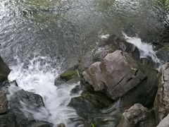 -五悦北平四季涮肉·烧烤(老商埠店)