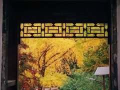-团结湖公园
