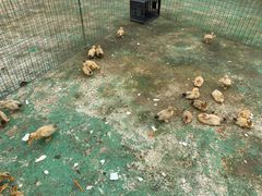 -前小桔亲子创意农场·草莓采摘·露营烧烤