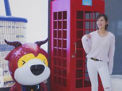 -上海颛桥万达广场