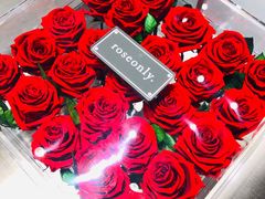 -ROSEONLY诺誓(青岛万象城店)