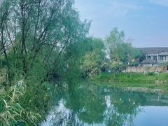 -西溪国家湿地公园