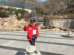 -石老人观光园