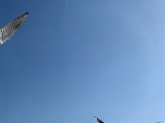 -滇池海埂公园