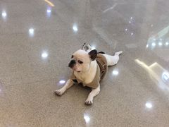 -金色印象·HiFi影音·按摩足疗(南滨印象店)