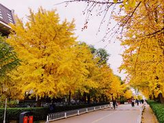 -北京大学赛克勒考古与艺术博物馆