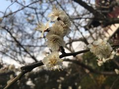 -鲁迅公园-垂钓中心