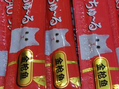 -飞行喵MR PILOT|猫舍·猫咖(静安大融城店)