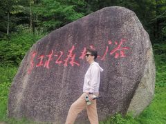 -五营红松林海景区