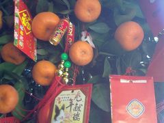 2011020813051-三亚亚龙湾凯莱仙人掌度假酒店