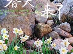 -无锡梅园公园