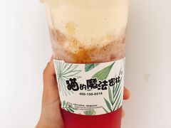 -猫的魔法密林(衣裳街店)