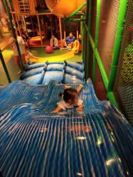 -KidSteam儿童乐园(富力城店)