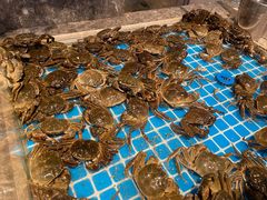 -一方渔歌蒸汽海鲜自助(文化路万达广场店)