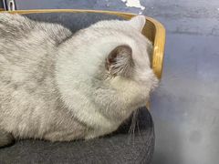 -M.S拳击泰拳馆(大学路店)