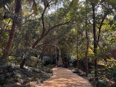 -广东惠东海龟国家级自然保护区