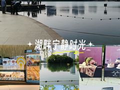 -天鹅湖体育公园