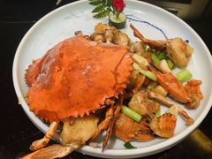 姜葱炒肉蟹-新南华大酒店(广中店)