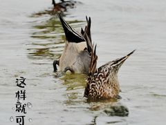 -深圳湾公园(南山区)