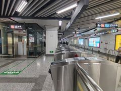 -临平南高铁站(地铁站)