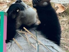 -大连森林动物园