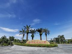 -宝安西湾红树林湿地公园