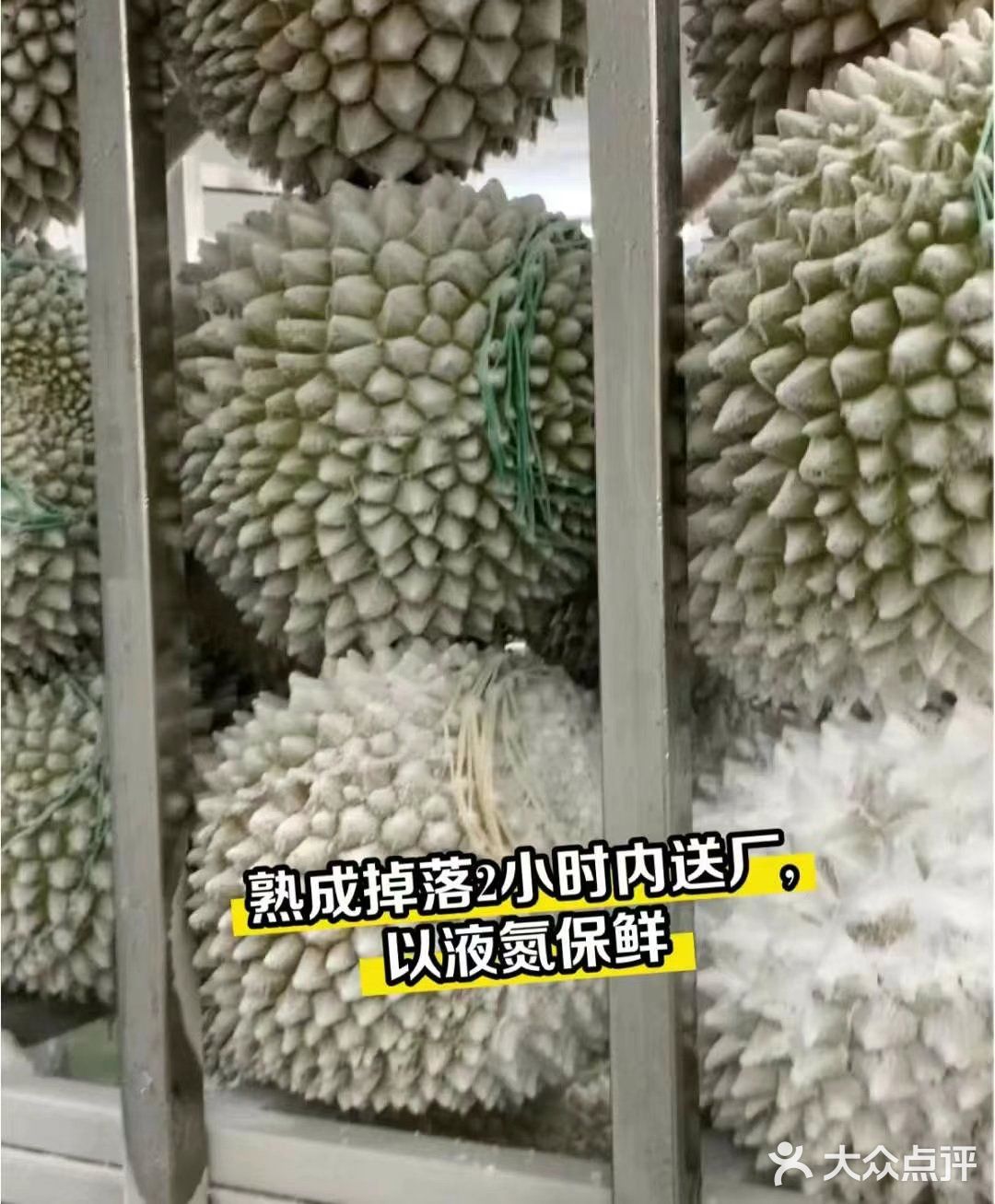 一入猫王深似海 从此金枕是路人