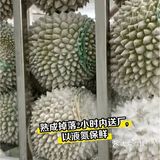 一入猫王深似海 从此金枕是路人