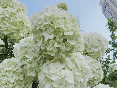 -大龙山(地铁站)