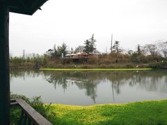 -桤木河湿地公园