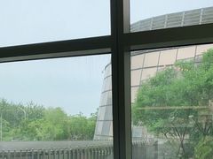 -油梨树AVOCADO TREE(望京店)