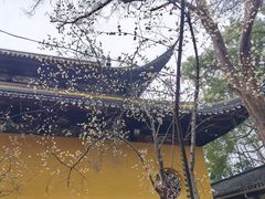 -西园戒幢律寺