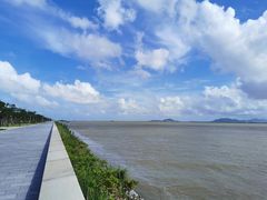 -芒洲湿地公园