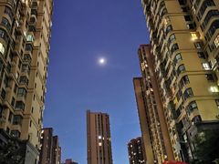 -东哥紫阳蒸盆子(旺座·现代城店)