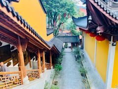 景点-杭州上天竺法喜讲寺