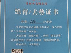 -菲丽丝宠物医院·24小时·猫科中心·免疫点(淮海分院)