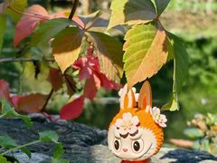 -三忘湖 SWANSEEN(柳荫公园店)